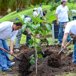 Costa Rican communities fighting against climate change _ The Tico Times _ Costa Rica News _ Travel _ Real Estate (1)